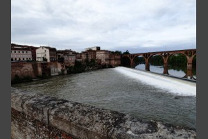 Albi