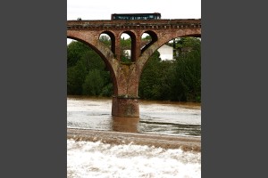 Albi