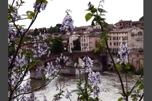 Albi
