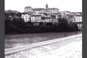 Albi