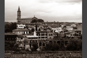 Albi