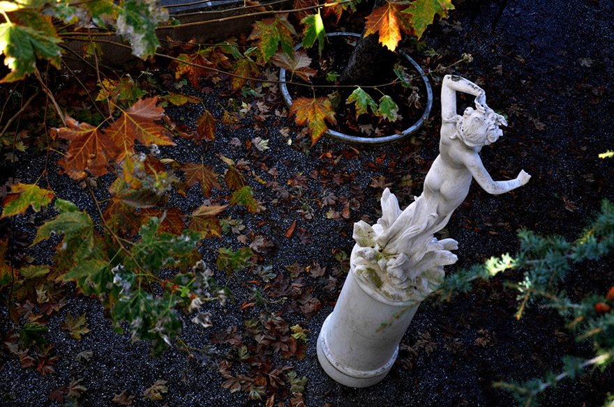 100DSC_2770b