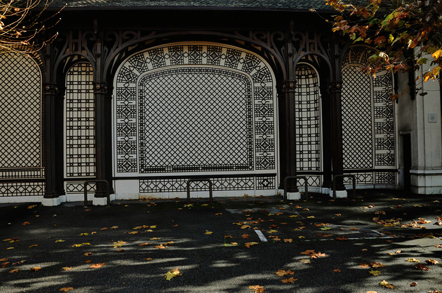 310DSC_2782b