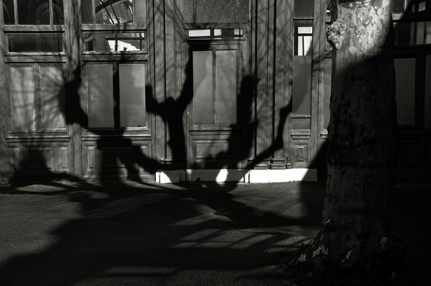 400DSC_6977b