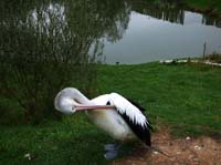 Parc des oiseaux