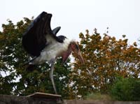 Parc des oiseaux