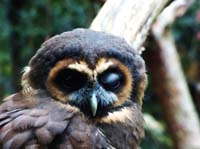 Parc des oiseaux