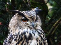 Parc des oiseaux