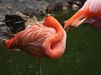 Parc des oiseaux