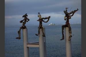 invasion de flottins sur Evian