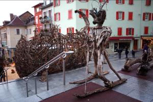 invasion de flottins sur Evian