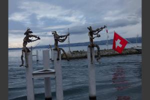 invasion de flottins sur Evian