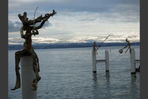 invasion de flottins sur Evian