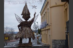 invasion de flottins sur Evian