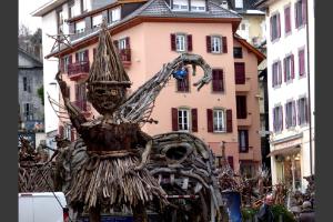 invasion de flottins sur Evian