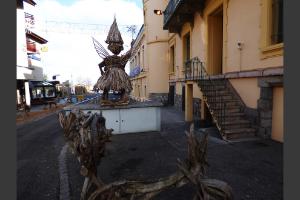 invasion de flottins sur Evian