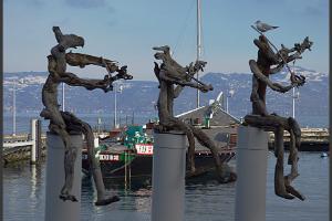 invasion de flottins sur Evian