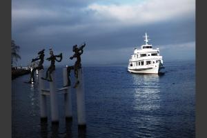 invasion de flottins sur Evian