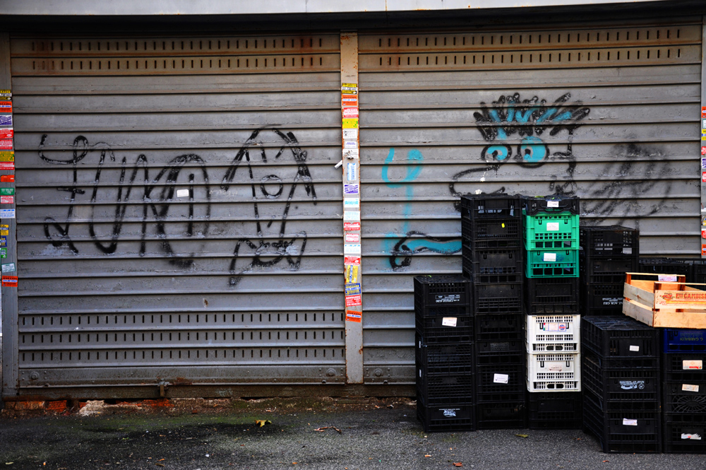 DSC_8263b