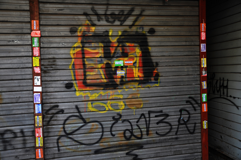 DSC_8265b