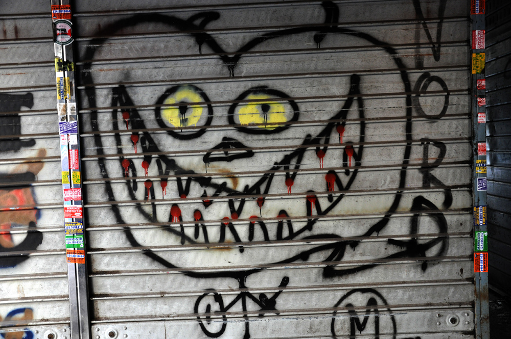 DSC_8266b