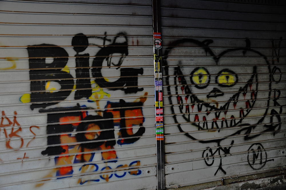 DSC_8267b
