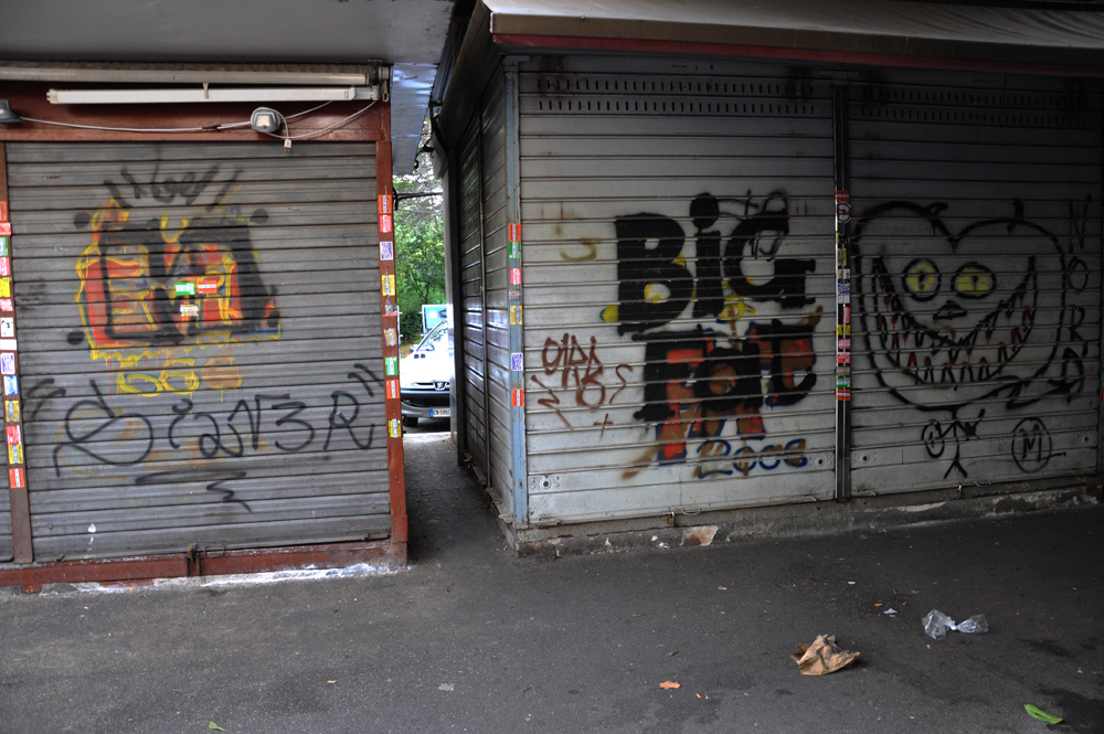 DSC_8279b