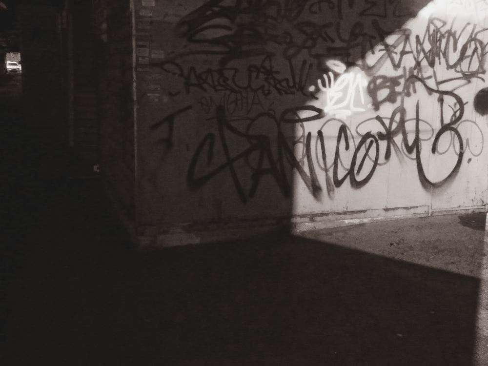 P1080603b
