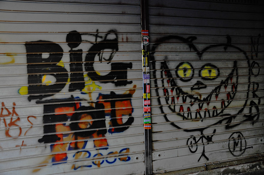 DSC_8267b