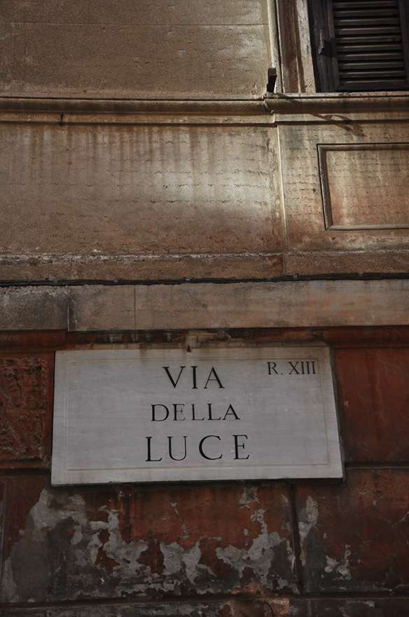DSC_8442b