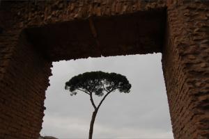 50 clichés de Rome