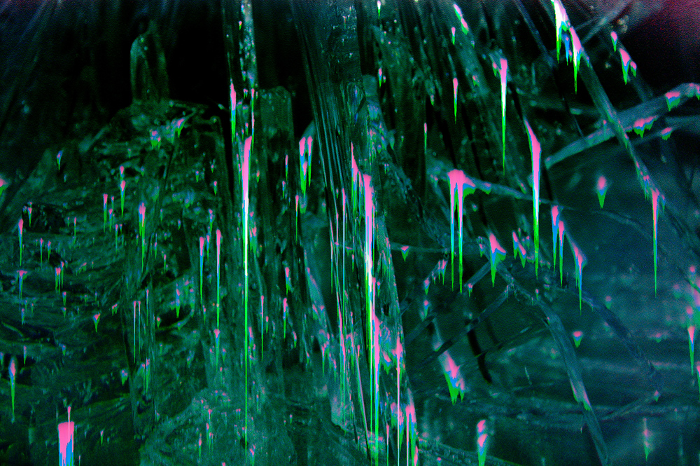 DSC_7791b