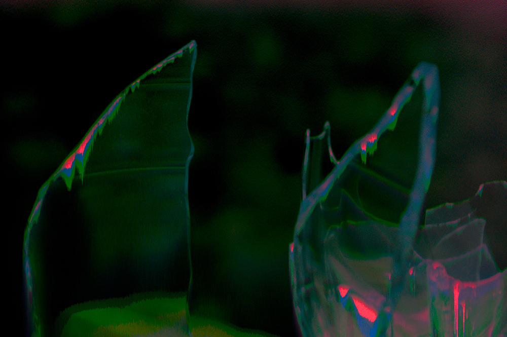 DSC_7795b