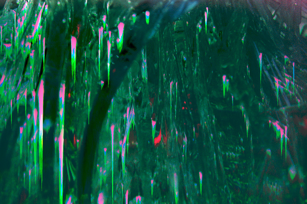 DSC_7798b
