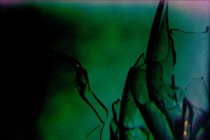 Visiter une sculpture de verre
