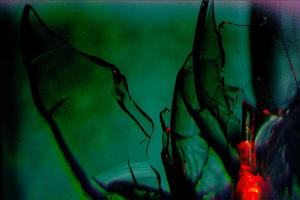 Visiter une sculpture de verre