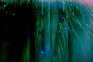 Visiter une sculpture de verre