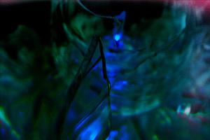 Visiter une sculpture de verre
