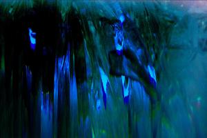 Visiter une sculpture de verre