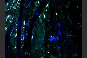 Visiter une sculpture de verre