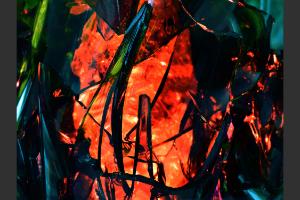 Visiter une sculpture de verre