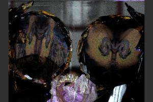 Visiter une sculpture de verre