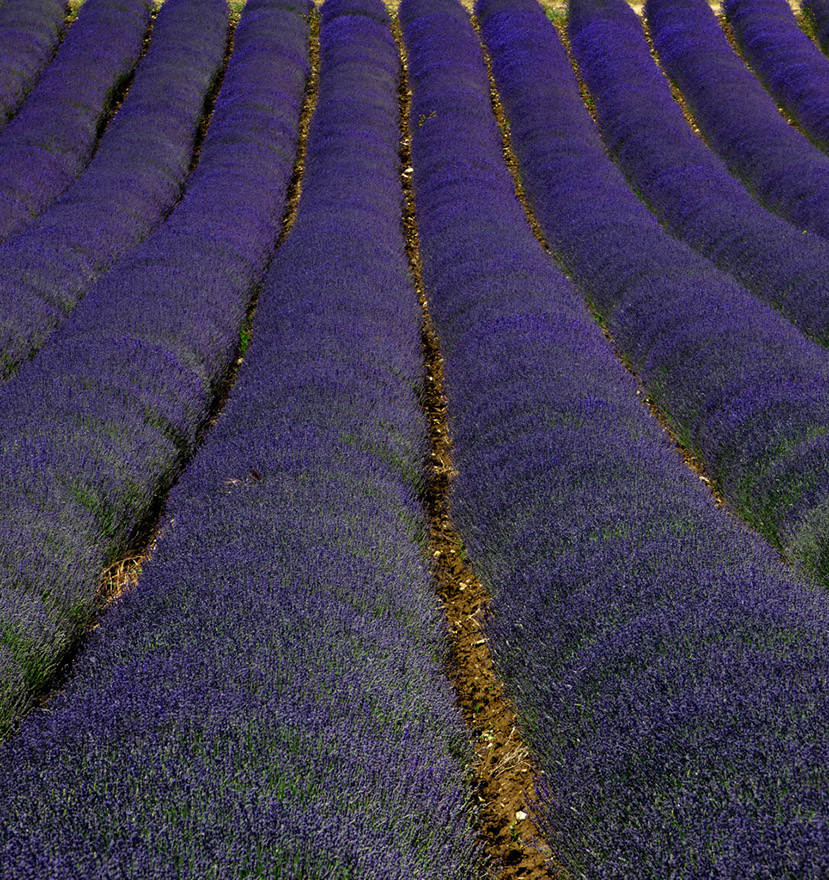 P1100138b