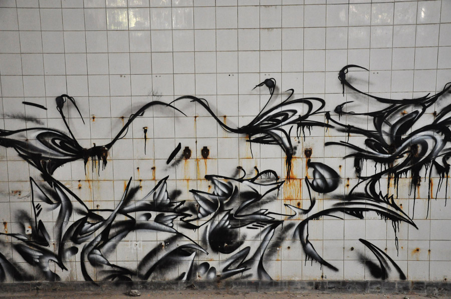 DSC_3764b
