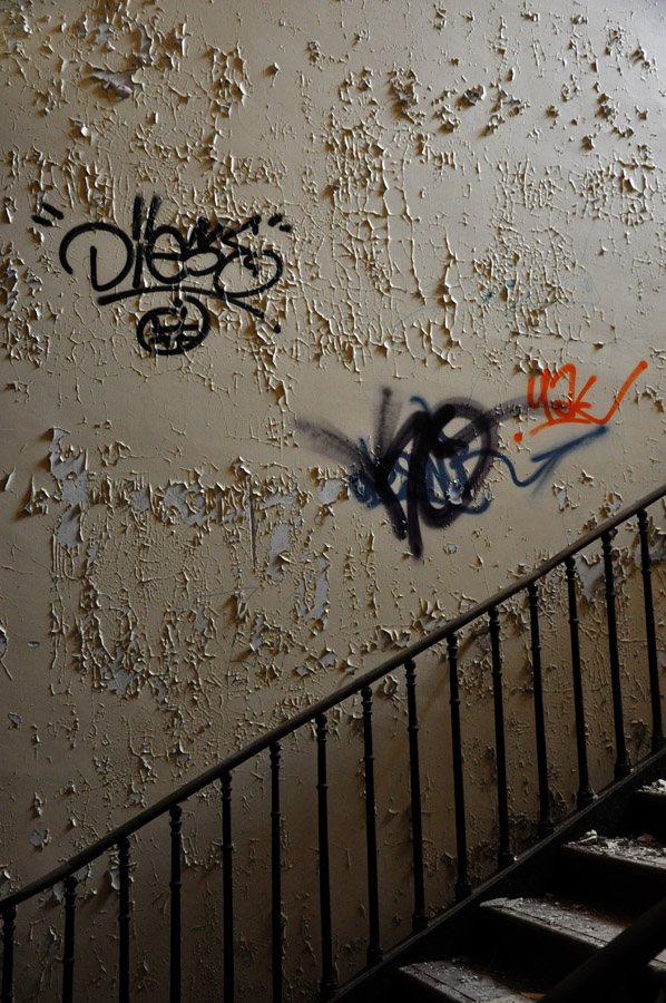 DSC_3772b