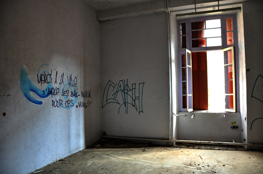 DSC_3783b