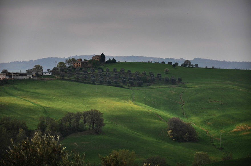 DSC_1272b1