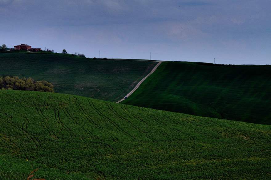 DSC_1449b1
