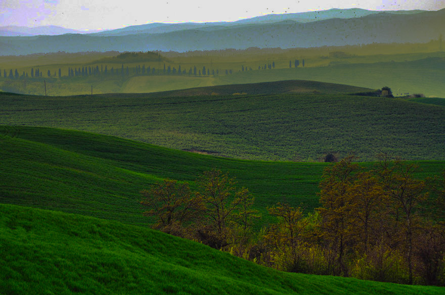 DSC_1452b1
