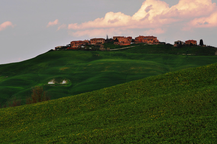 DSC_1460b1
